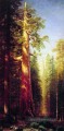 Les grands arbres Albert Bierstadt